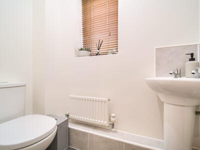 Picture 9